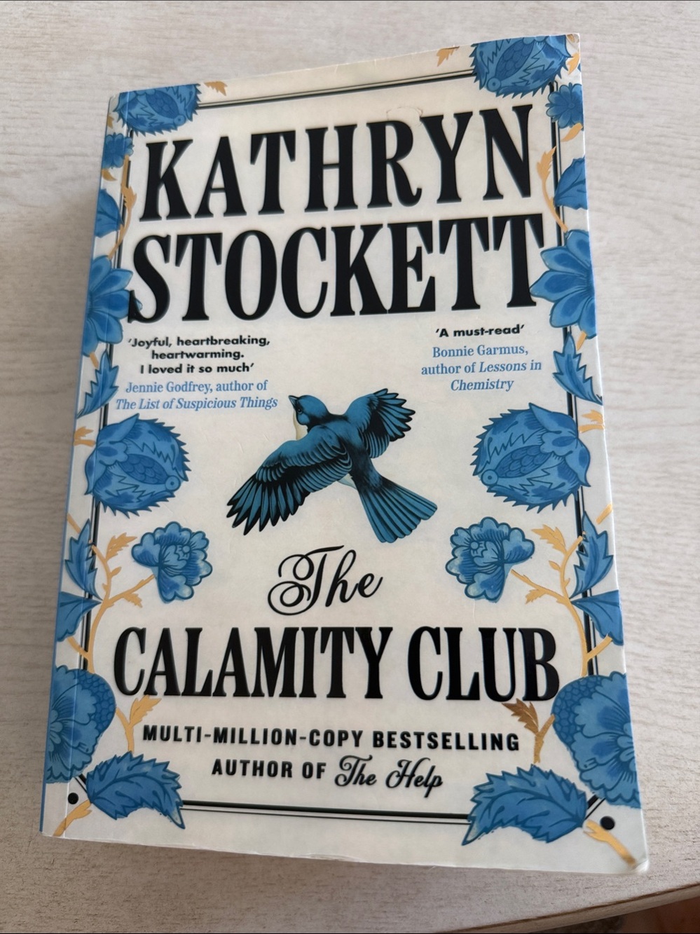 The Calamity Club in Paperback